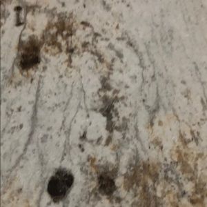 Meet your Posher, Kyla